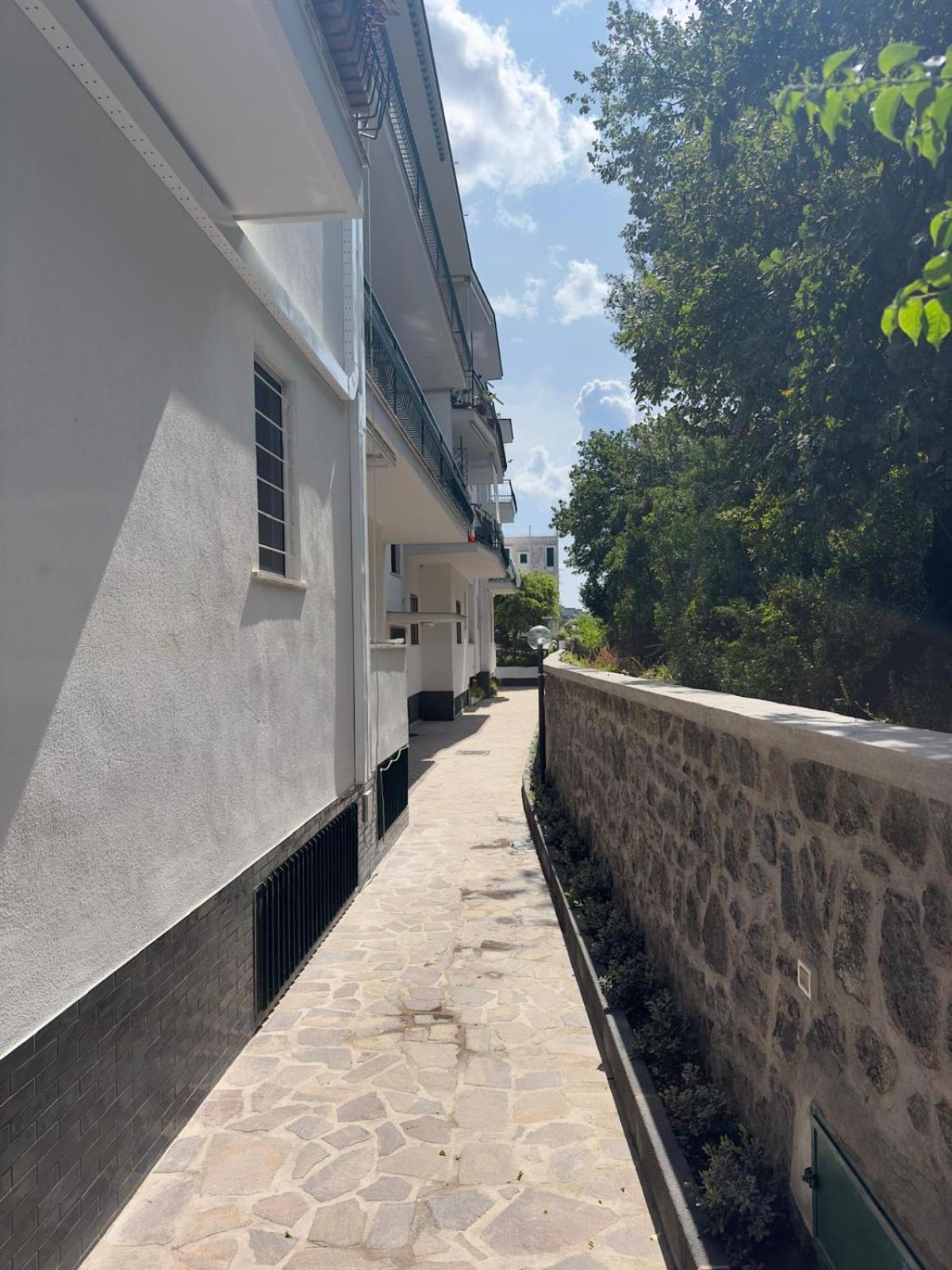 Casa Vacanza Imparo B&B ايسكيا المظهر الخارجي الصورة